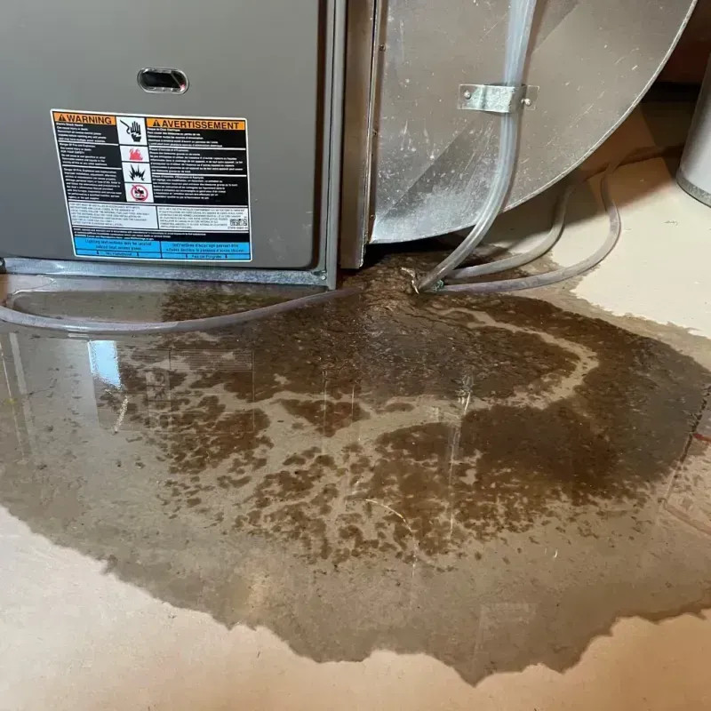 Appliance Leak Cleanup in Hackensack, NJ